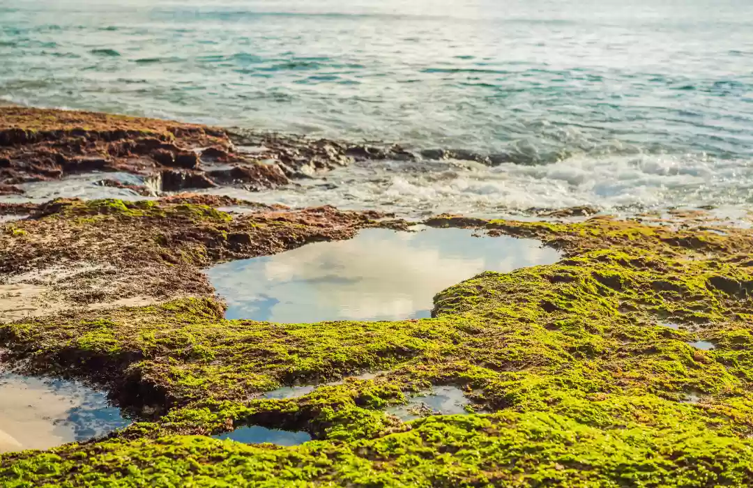 Tegal Wangi Beach, Jimbaran