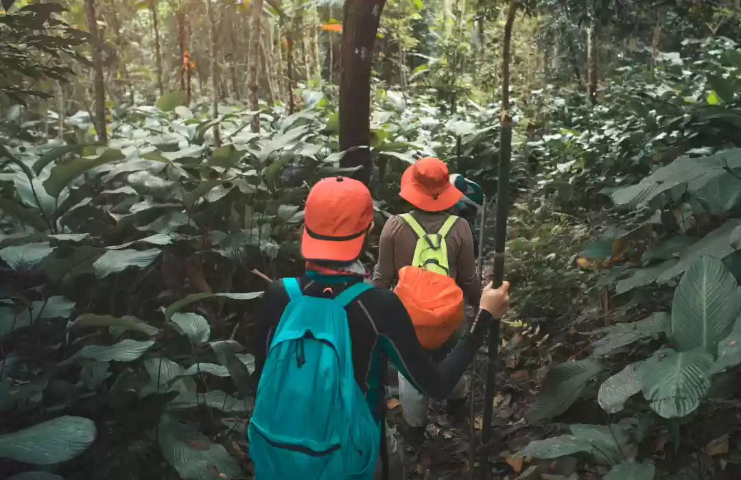 Jungle Trekking in Bali’s Heartland