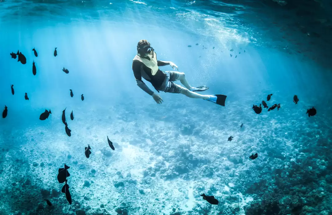 Snorkeling in Nusa Penida