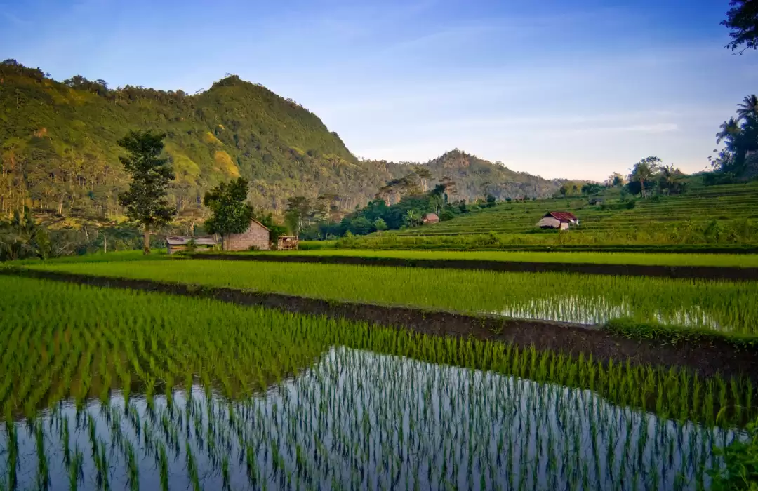 Experience Mild and Pleasant Weather
