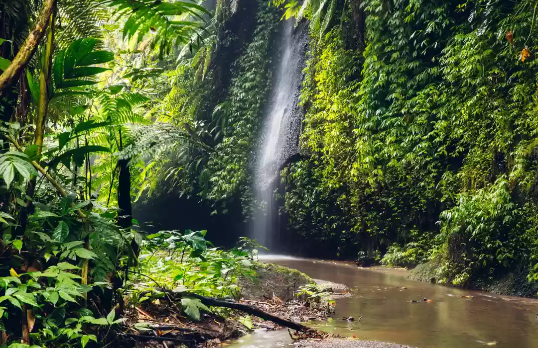 Discover Bali’s Lush Green Landscapes