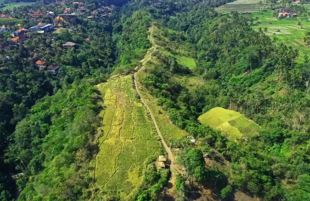 Campuhan Ridge Walk – A Scenic Walk with Panoramic Views