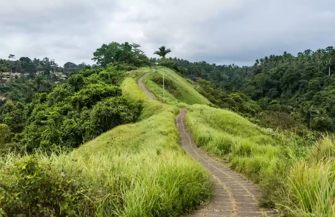 Campuhan Ridge Walk – A Scenic Sunrise Hike