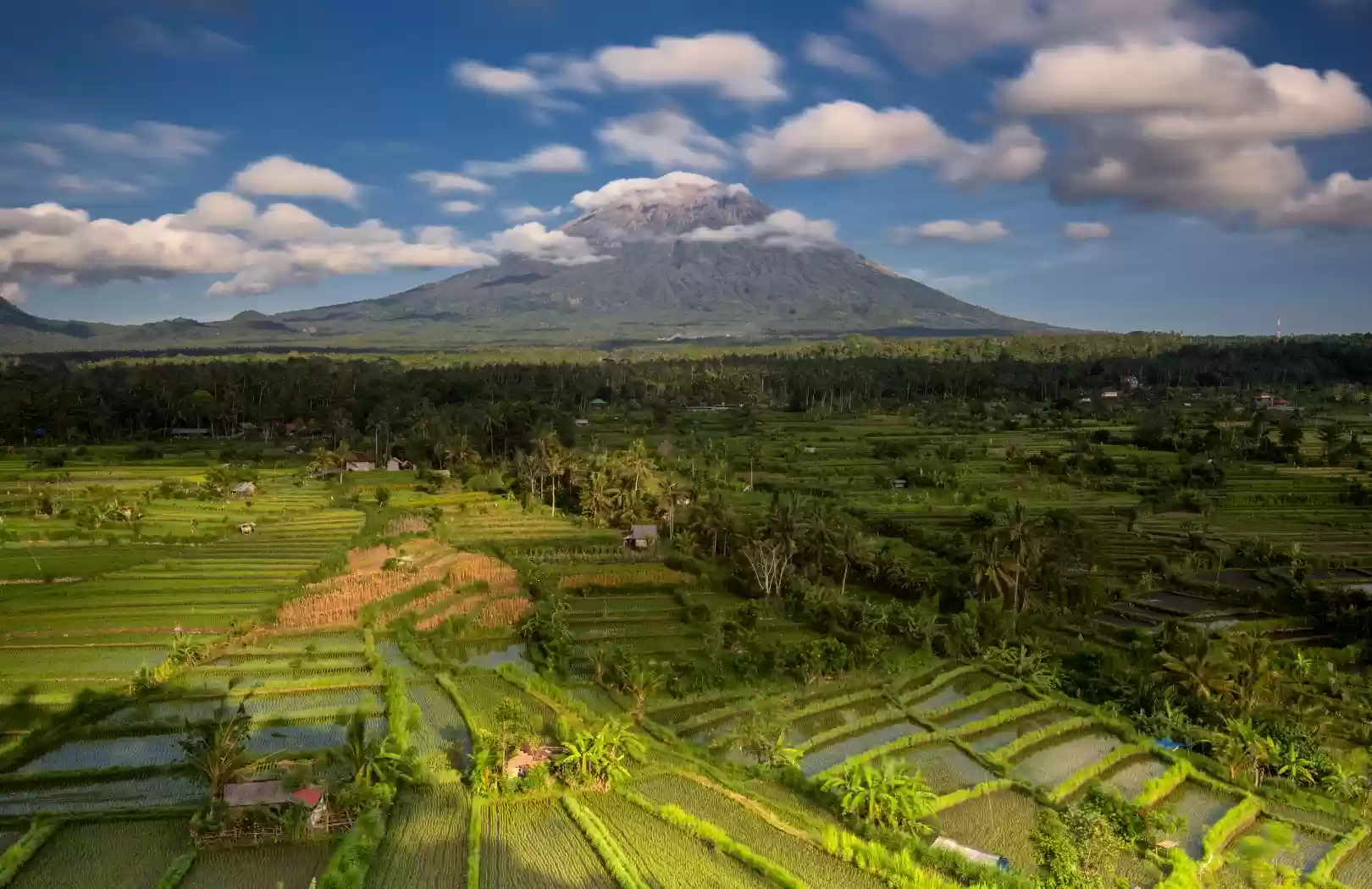 Bukit Jambul Rice Terrace