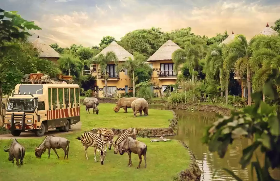 Visit Bali Safari and Marine Park