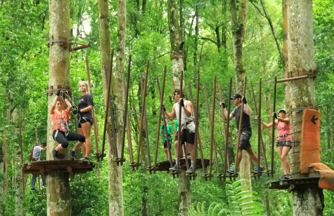 Experience Bali Treetop Adventure Park