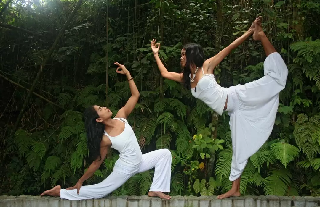 Taksu Yoga & Movement Arts - Ubud