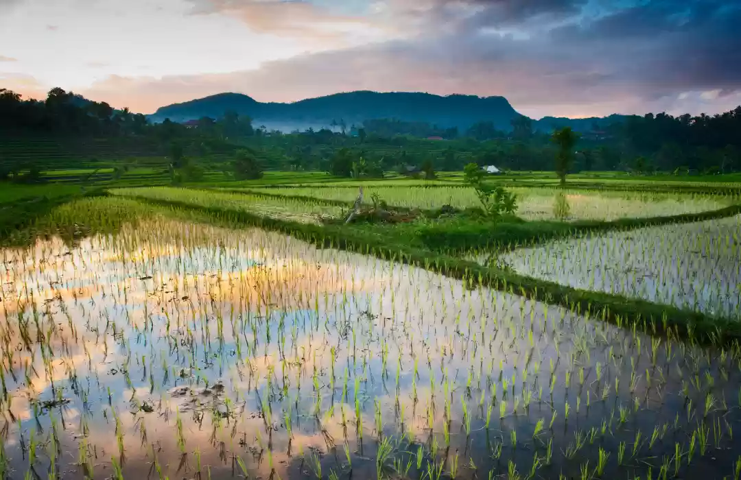 Sidemen Valley: A Hidden Romantic Gem