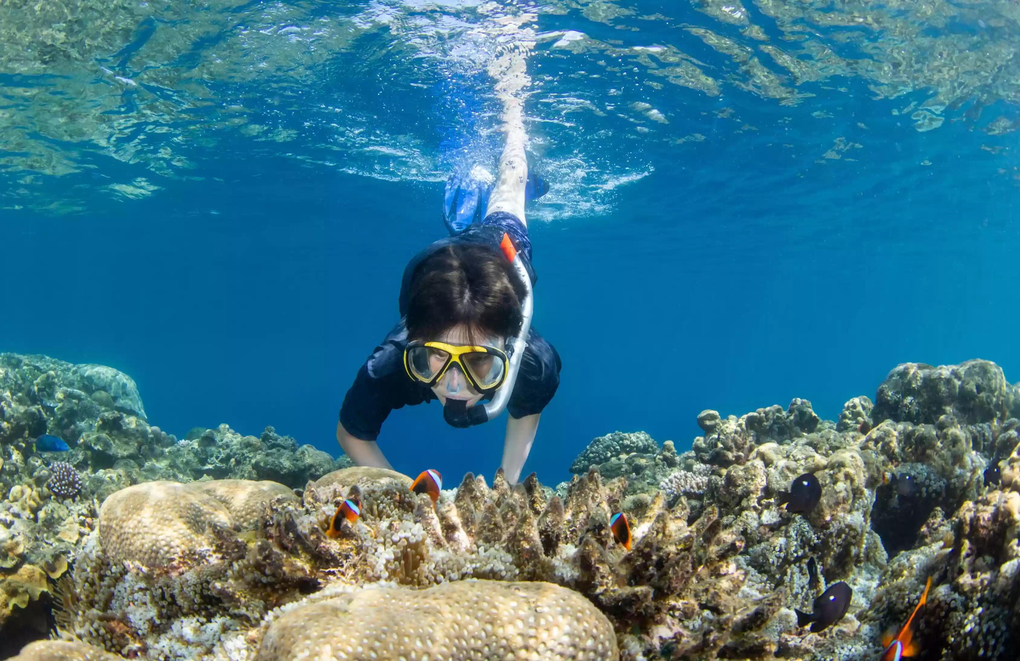 Crystal Bay (Snorkeling)