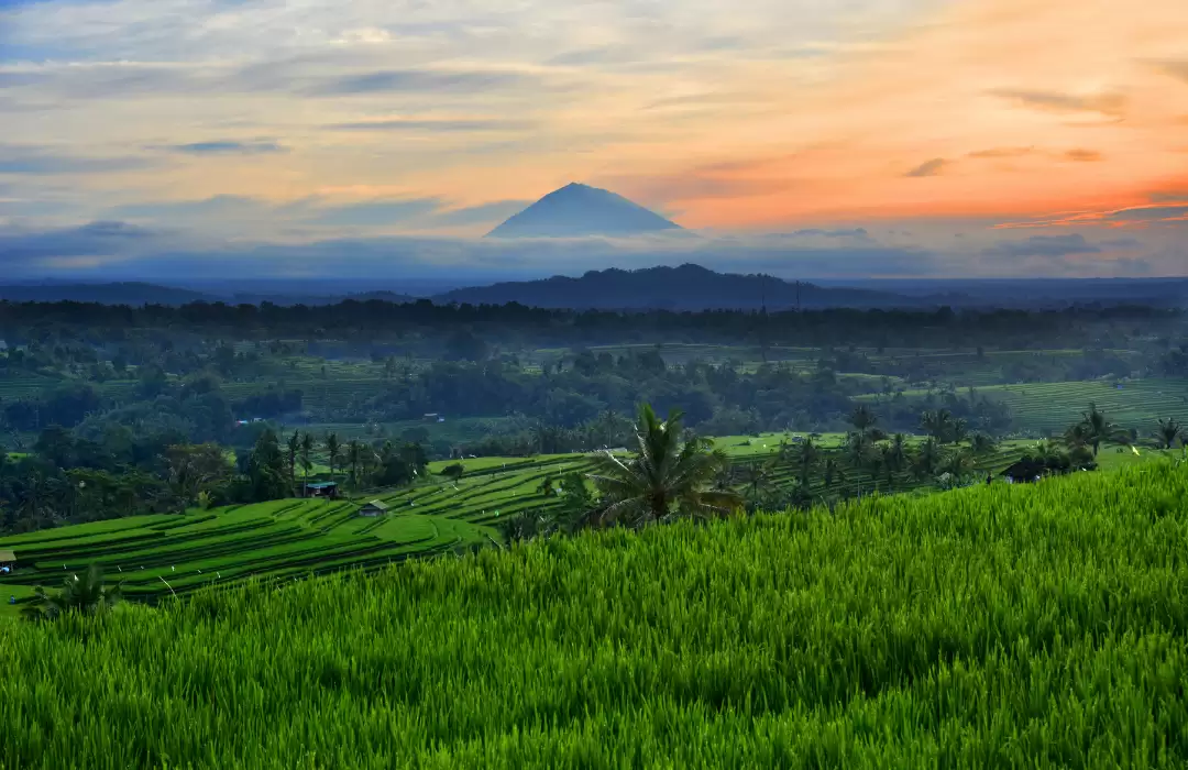 Embrace Bali’s Lush Green Landscapes