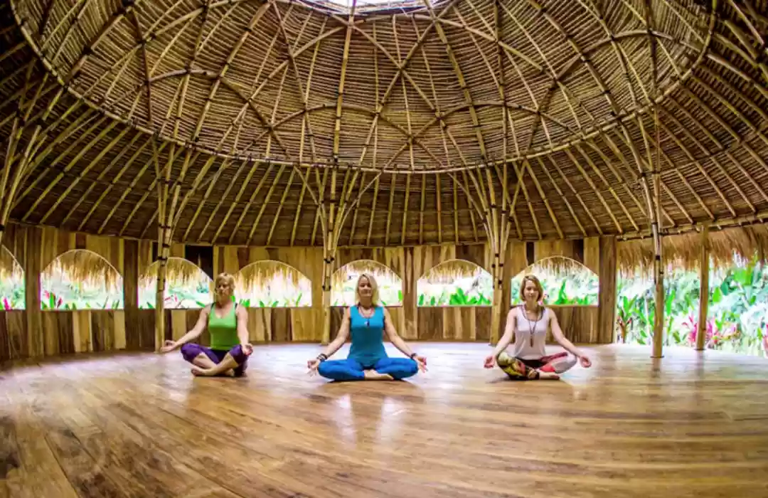 Yoga and Wellness Packages
