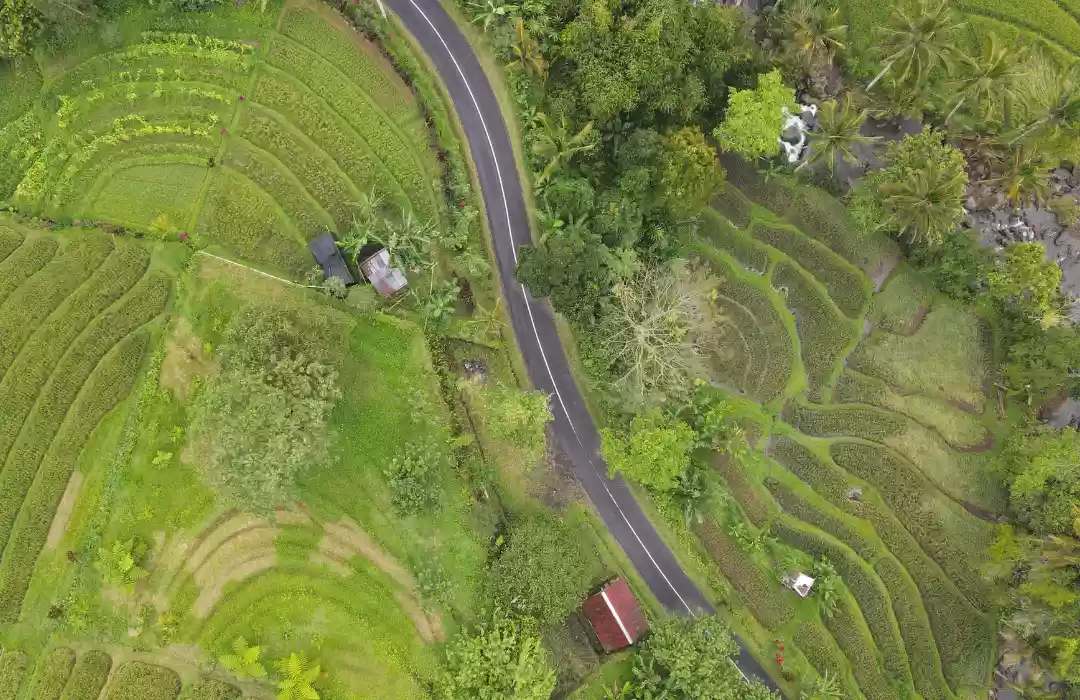 Trekking di Sawah Terasering