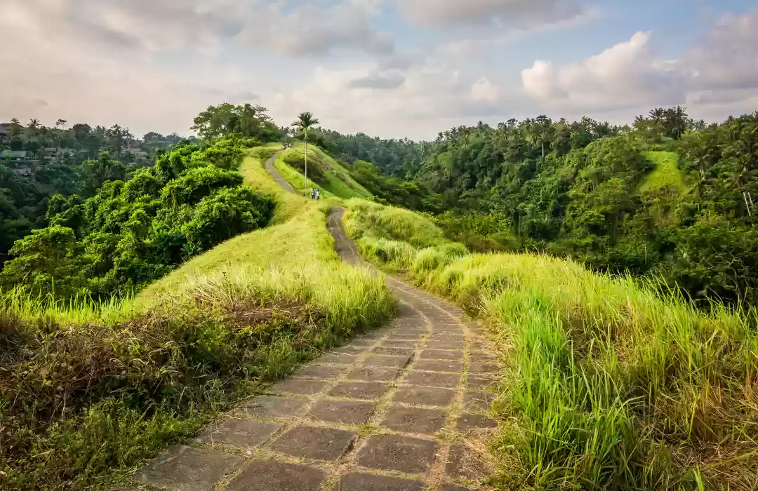Campuhan Ridge Walk - Ubud