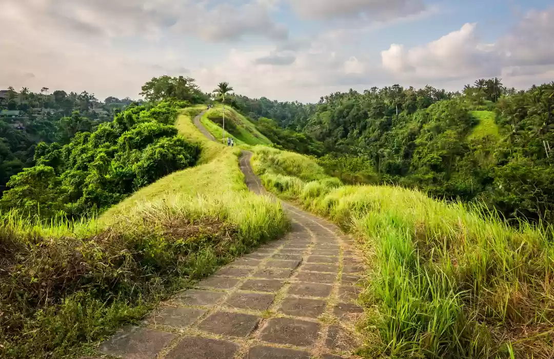 Bukit Campuhan - Ubud