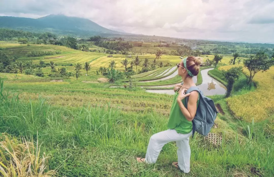 Jatiluwih Rice Terrace