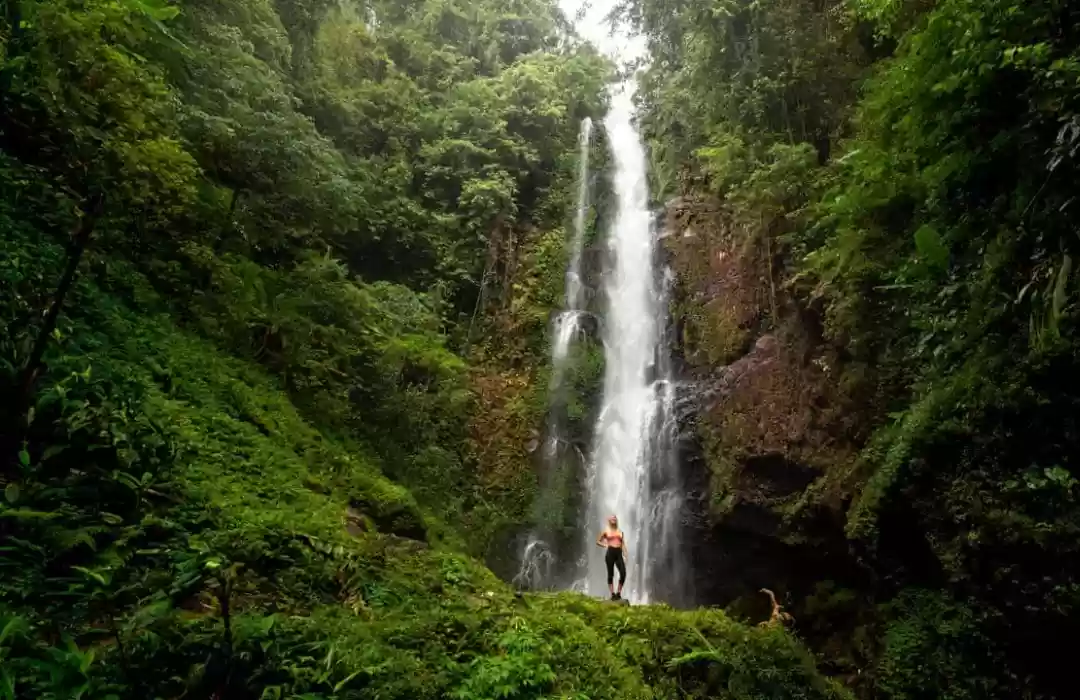Take on the Green Trails of Munduk
