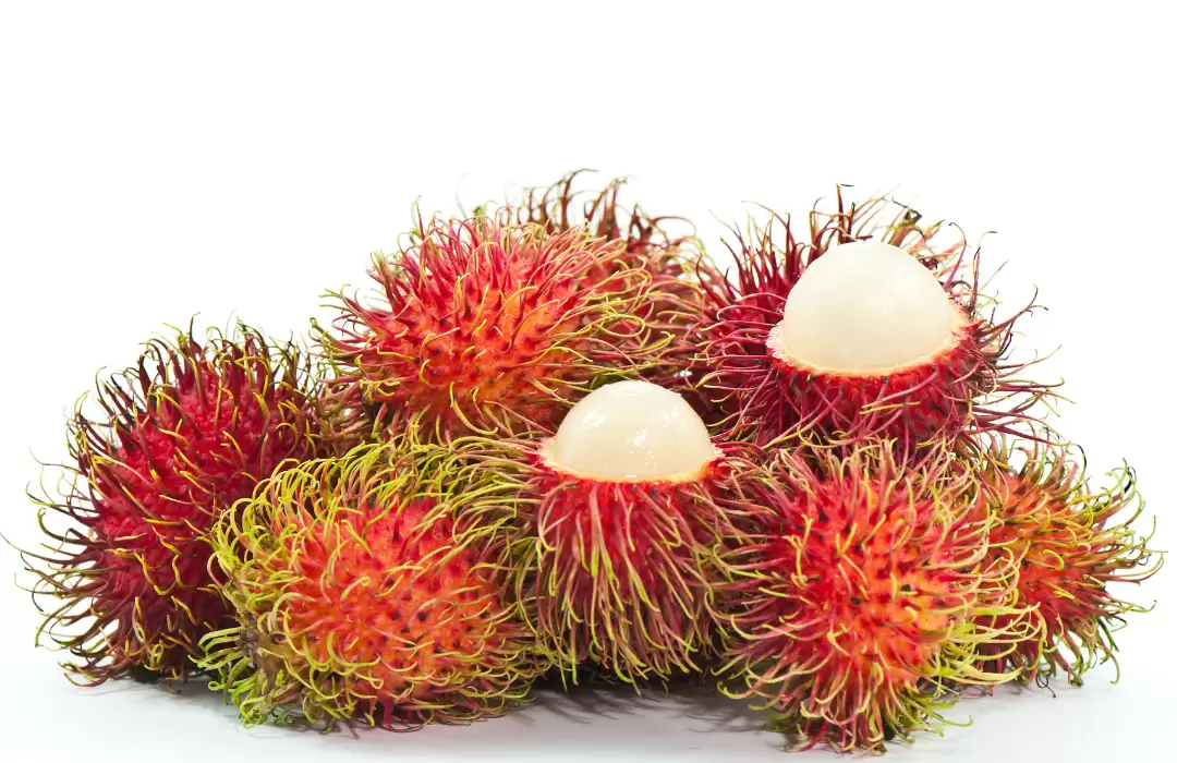 Rambutan: A Juicy Tropical Delight