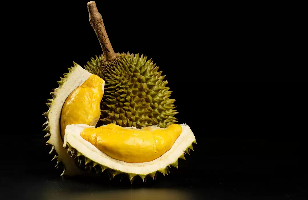 Durian: The King of Fruits