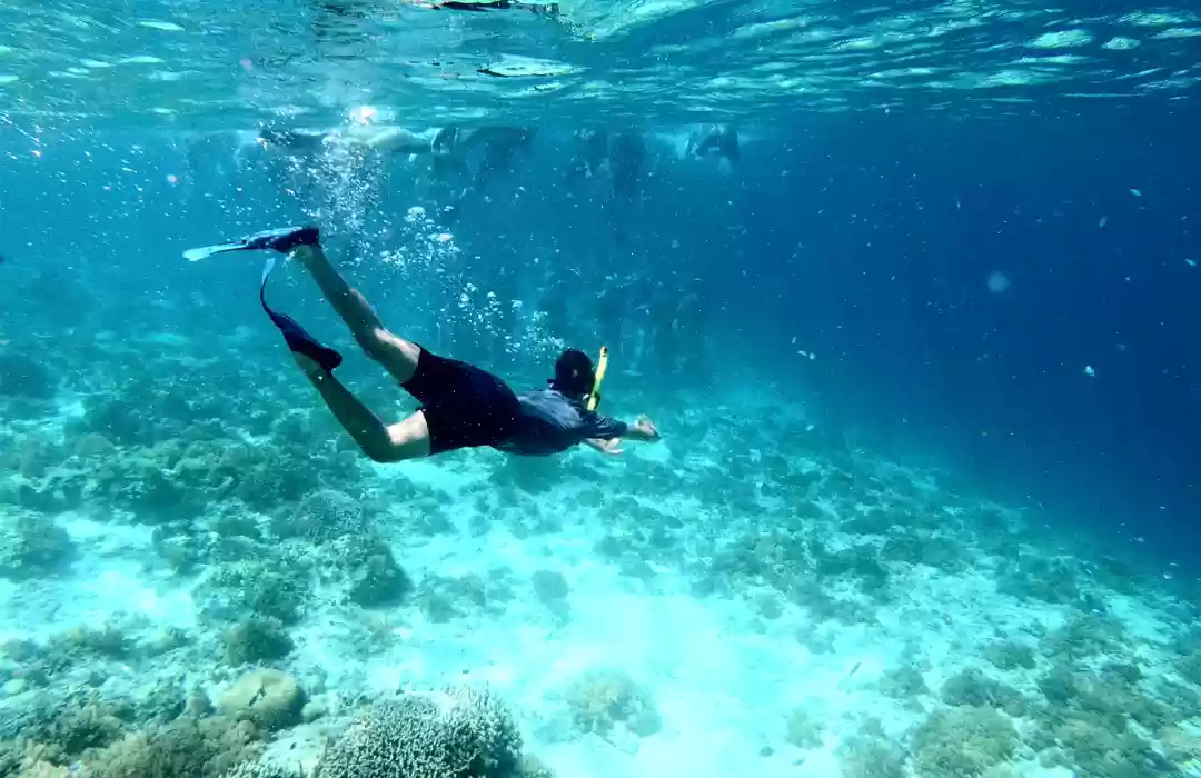 Snorkeling di Pantai Menjangan