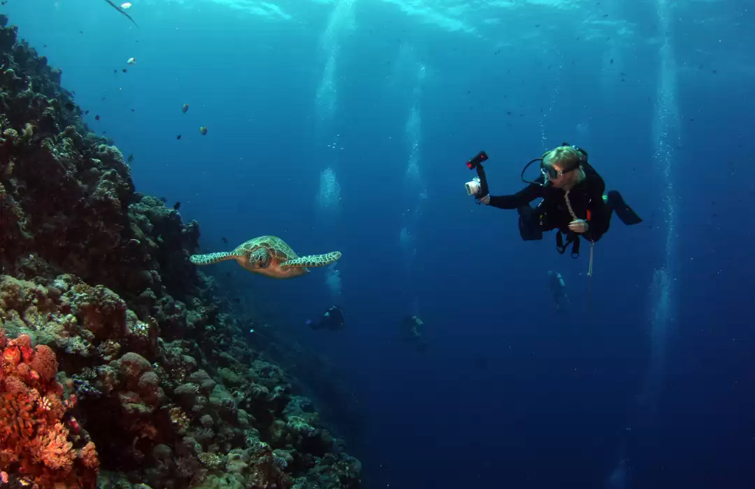 Diving di Tulamben
