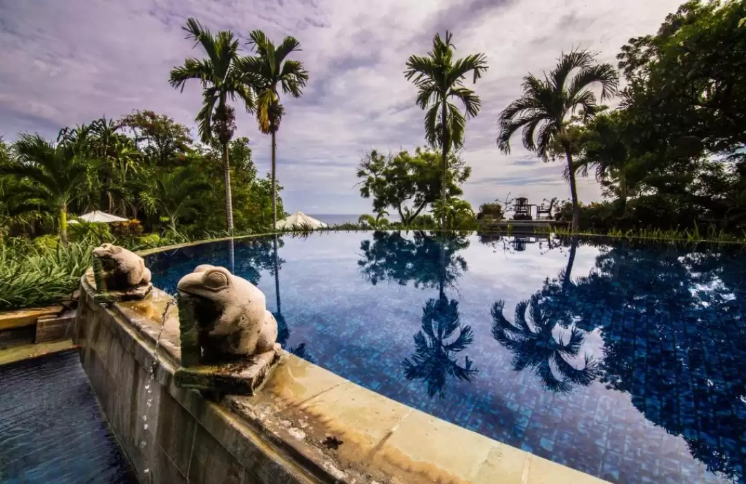 Digital Detox & Mindfulness Retreats