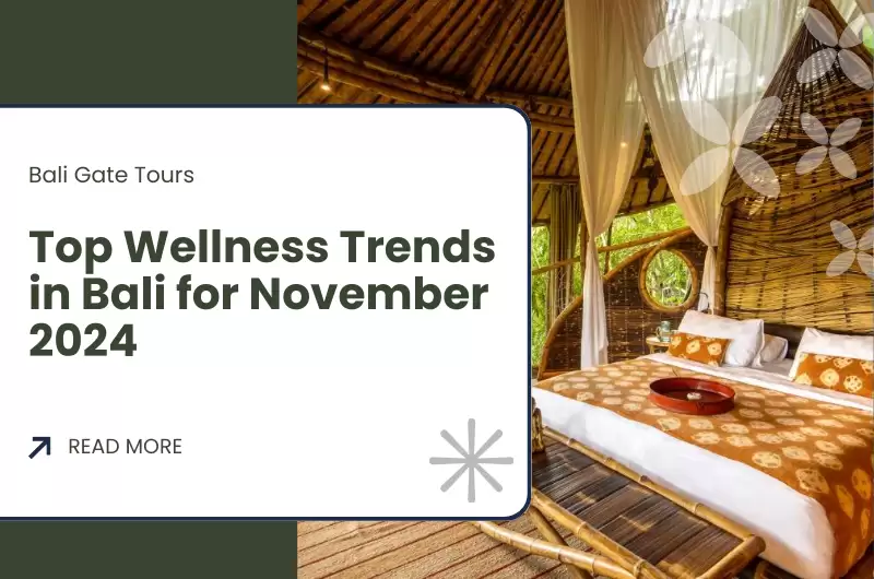 Top Wellness Trends in Bali for November 2024 
