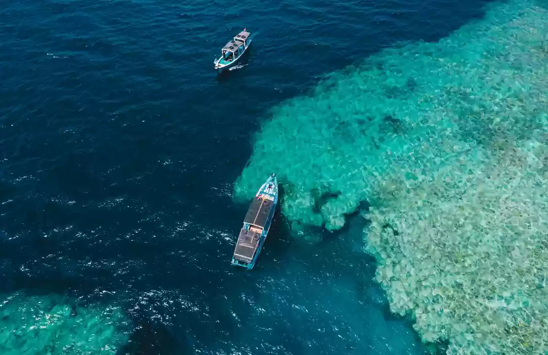 Menjangan Island: A Marine Wonderland