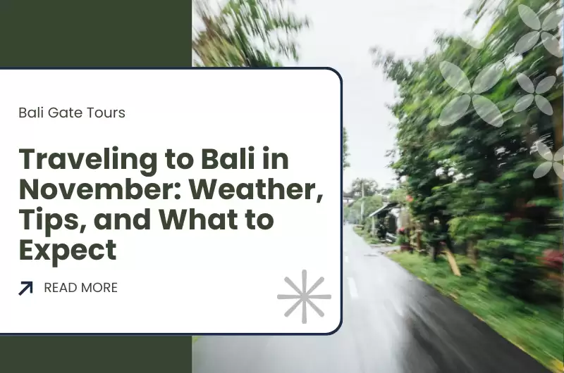 Traveling to Bali in November: Weather, Tips, and What to Expect