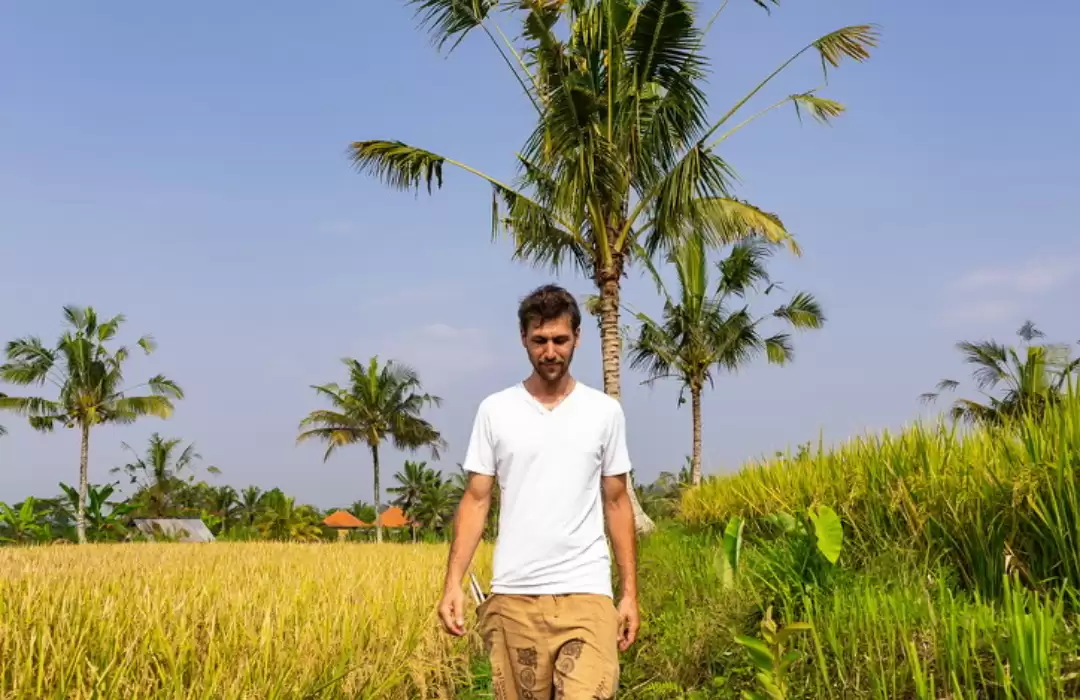 Mindful Walk Through Rice Fields