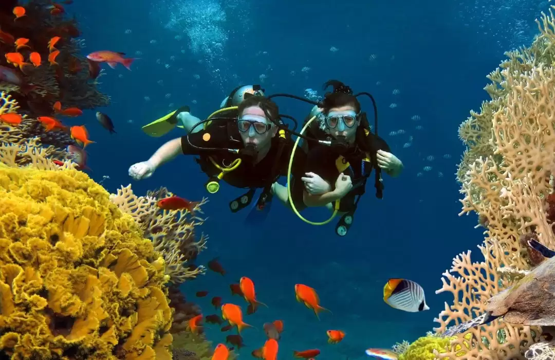 Nusa Penida: Surga Diving di Bali Timur