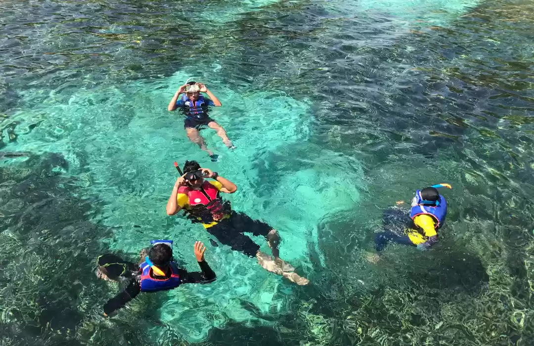 Mengikuti Tur Snorkeling atau Diving