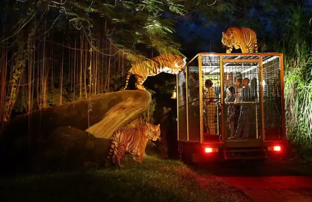 Bali Safari and Marine Park: A Wildlife Adventure for the Whole Family