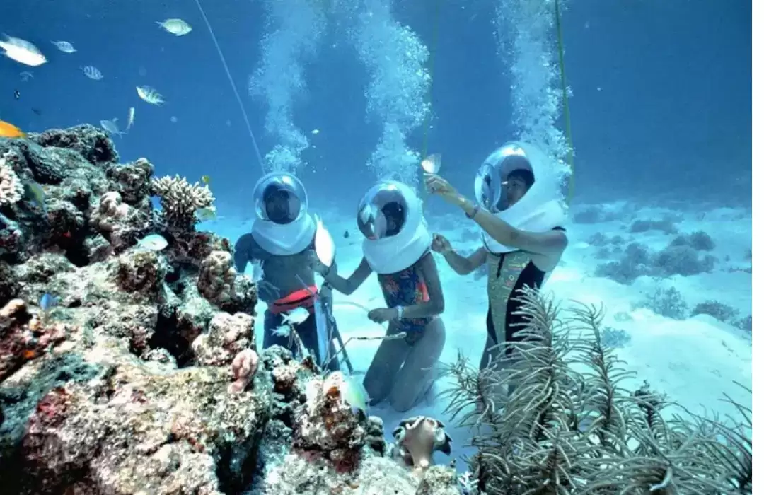 Bali Marine Walk: Exploring the Ocean Together