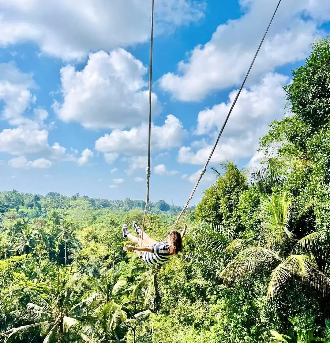 Jungle ATV Quad Bike + Jungle Swing
