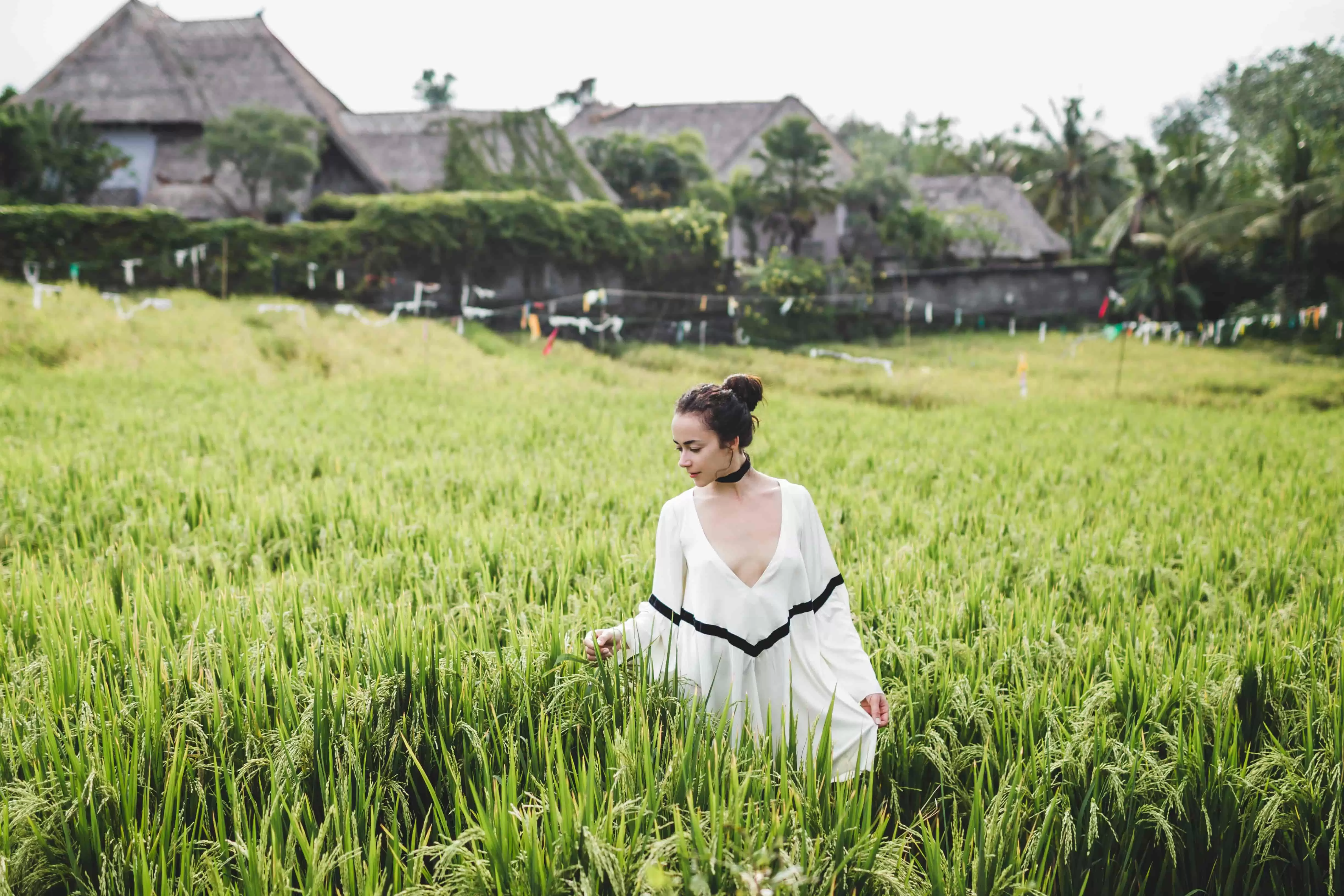 Agrowisata & Pertanian