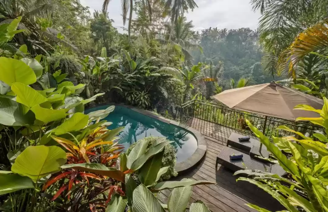 Pilih Lokasi Penginapan yang Tenang