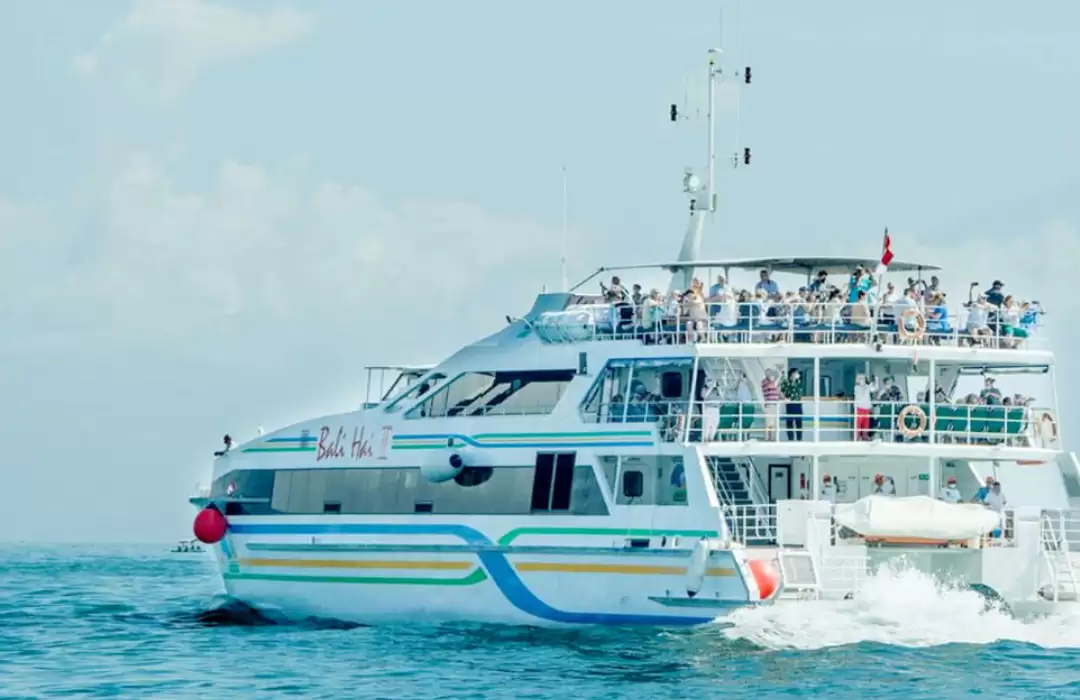 Luxury Yachts Offering New Year’s Eve Packages