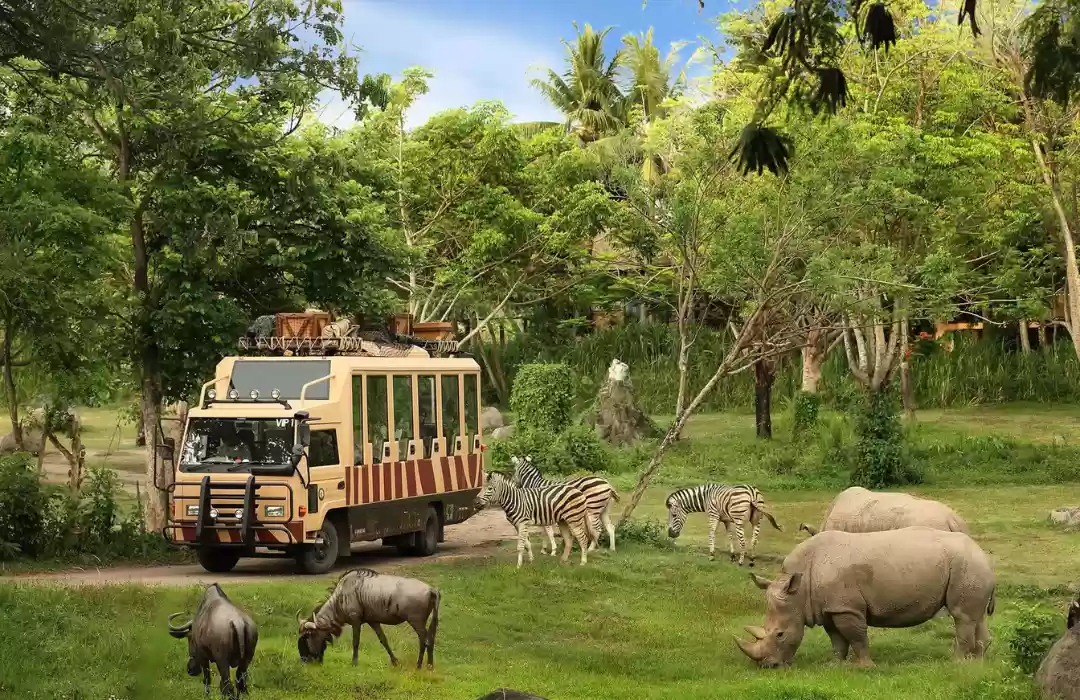 Visit Bali Safari and Marine Park for a Festive Twist