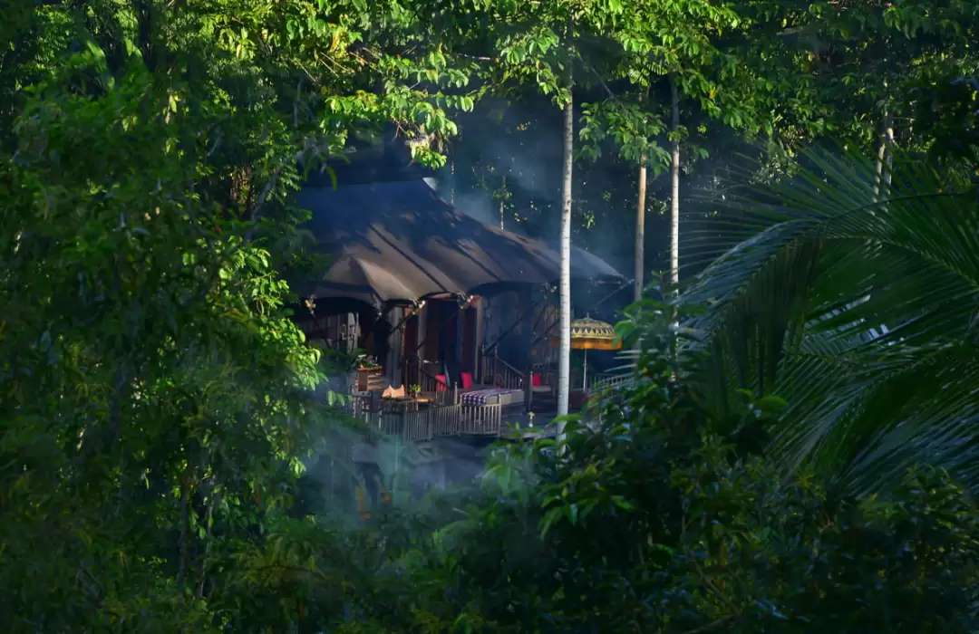 Capella Ubud: An Immersive Jungle Experience