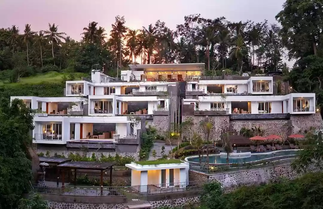 Blooming Lotus Yoga: A Transformative Yoga Retreat