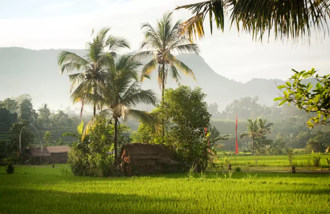 Sidemen: Bali’s Best-Kept Secret