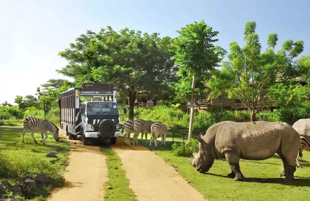 Visit Bali Safari and Marine Park for a Festive Wildlife Adventure