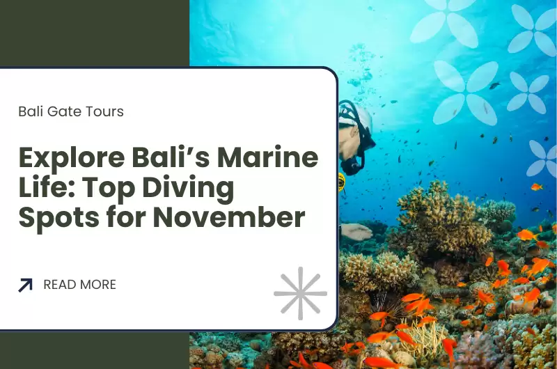 Explore Bali’s Marine Life: Top Diving Spots for November