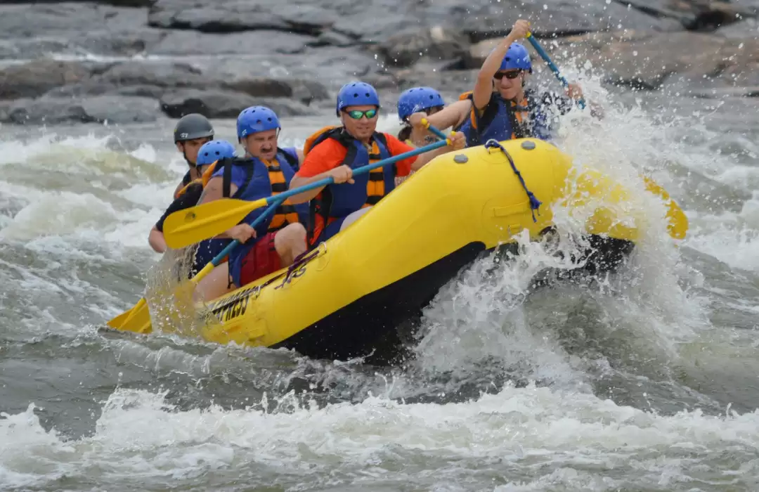 Dive into the Rapids with White-Water Rafting
