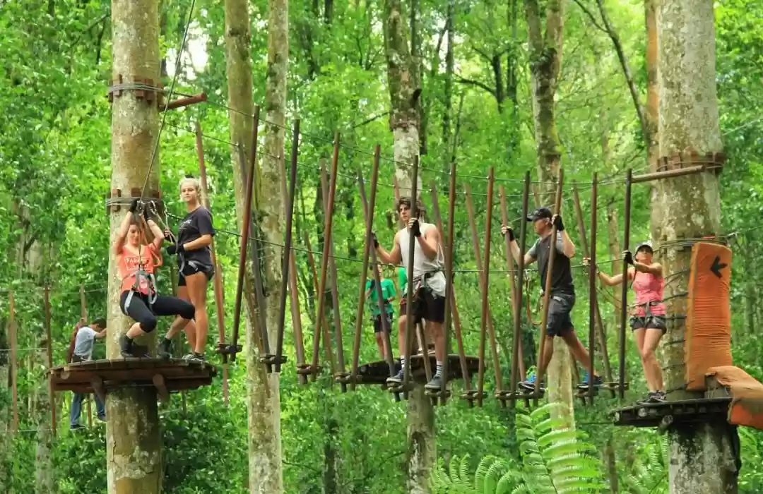 Zip Through the Treetops at Bali Treetop Adventure Park