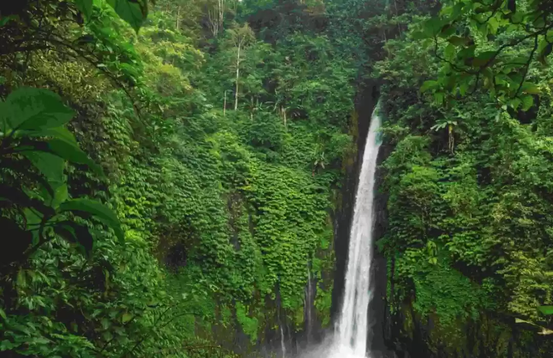 Munduk: A Peaceful Mountain Escape