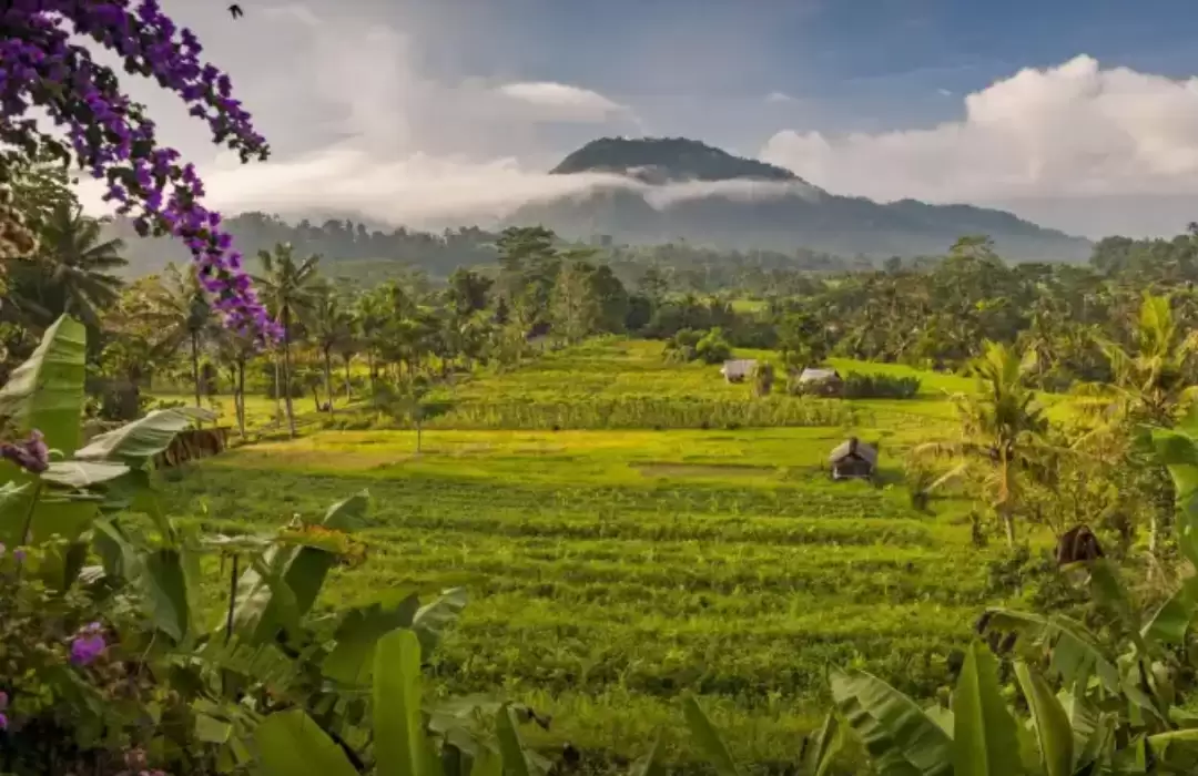 Sidemen: A Hidden Countryside Gem