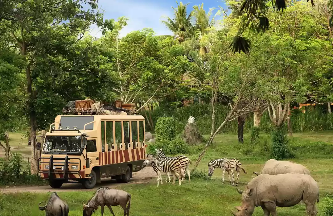 Bali Safari and Marine Park: An Adventurous Celebration