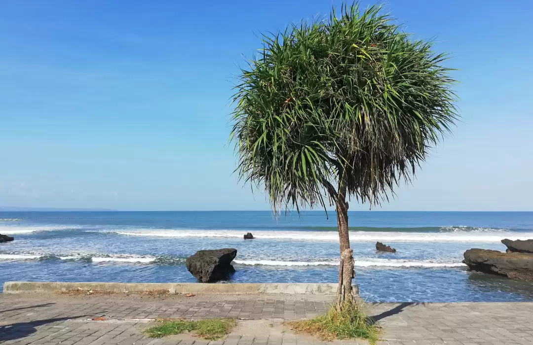 Canggu: A Hip Yet Family-Friendly Spot