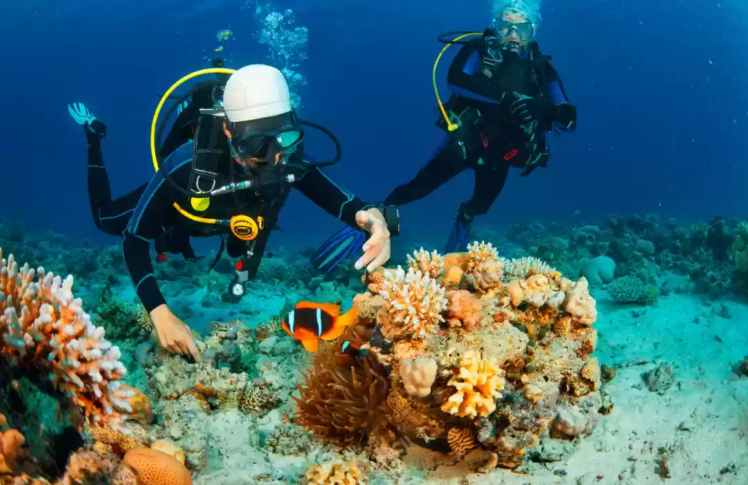 Dive into the Ocean for a Fresh Start